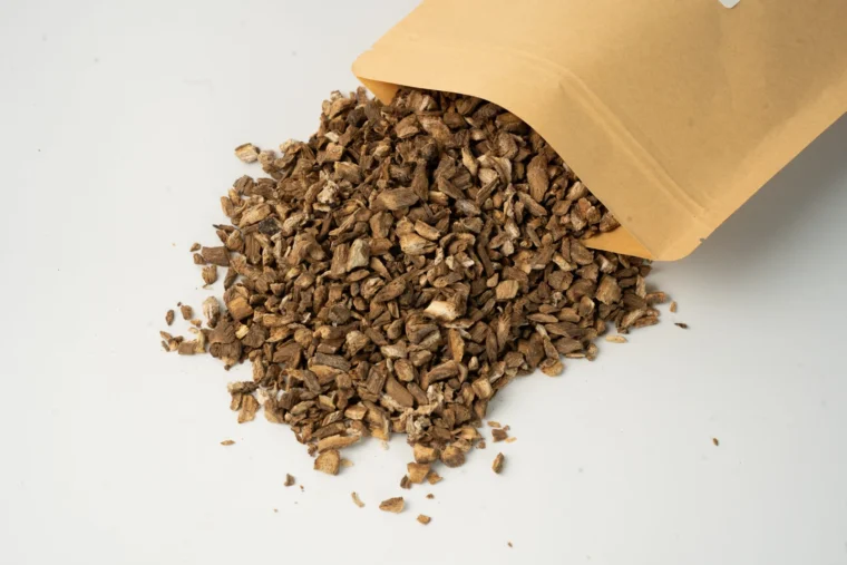 שורש בורדוק – לפה גדולה (Burdock Root)