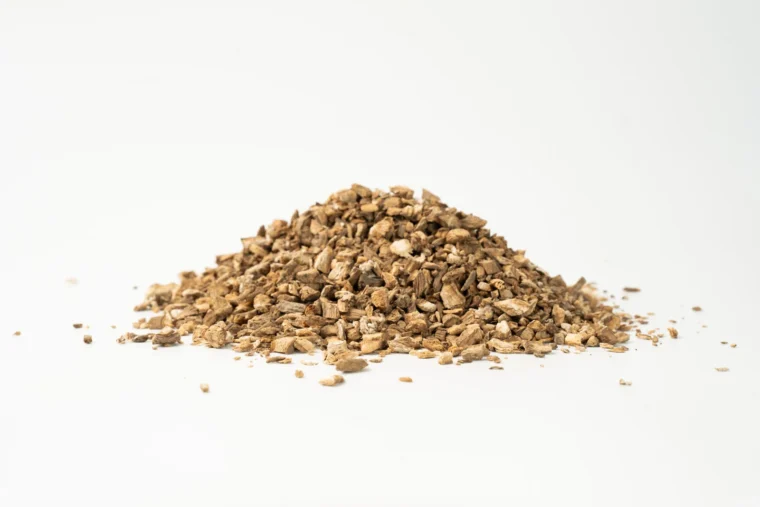 שורש בורדוק לפה גדולה (Burdock Root)