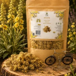 פרחי מוליין מיובשים Verbascum באריזת 50 גרם