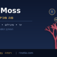 מה מכילה אצת סי מוס: יוד, מינרלים וסיבים תזונתיים
