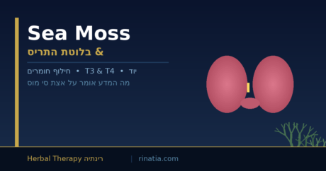אצת סי מוס ובלוטת התריס יוד טבעי לתמיכה בתפקוד הורמוני תקין