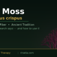 אצת סי מוס מיובשת Irish Sea Moss עשירה במינרלים וסיבים תזונתיים